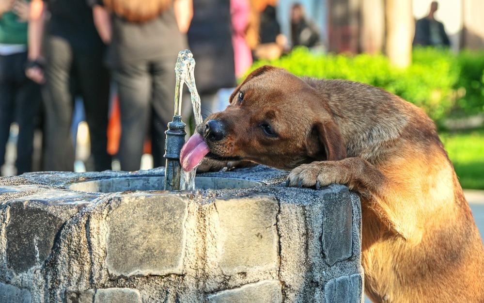 Фото: Shutterstock