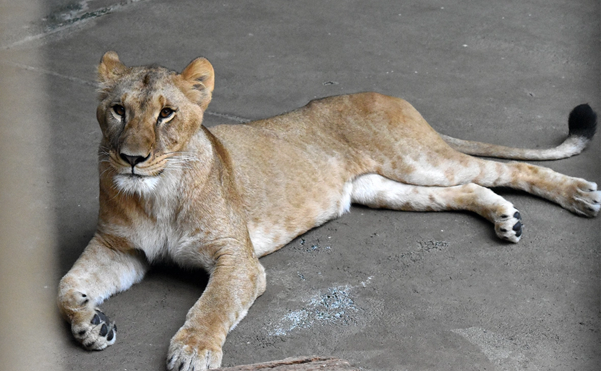 tokyo-zoo.net