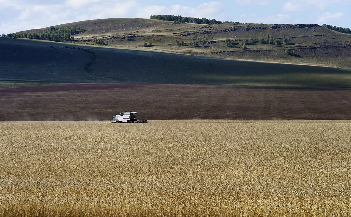 Илья Наймушин / РИА Новости