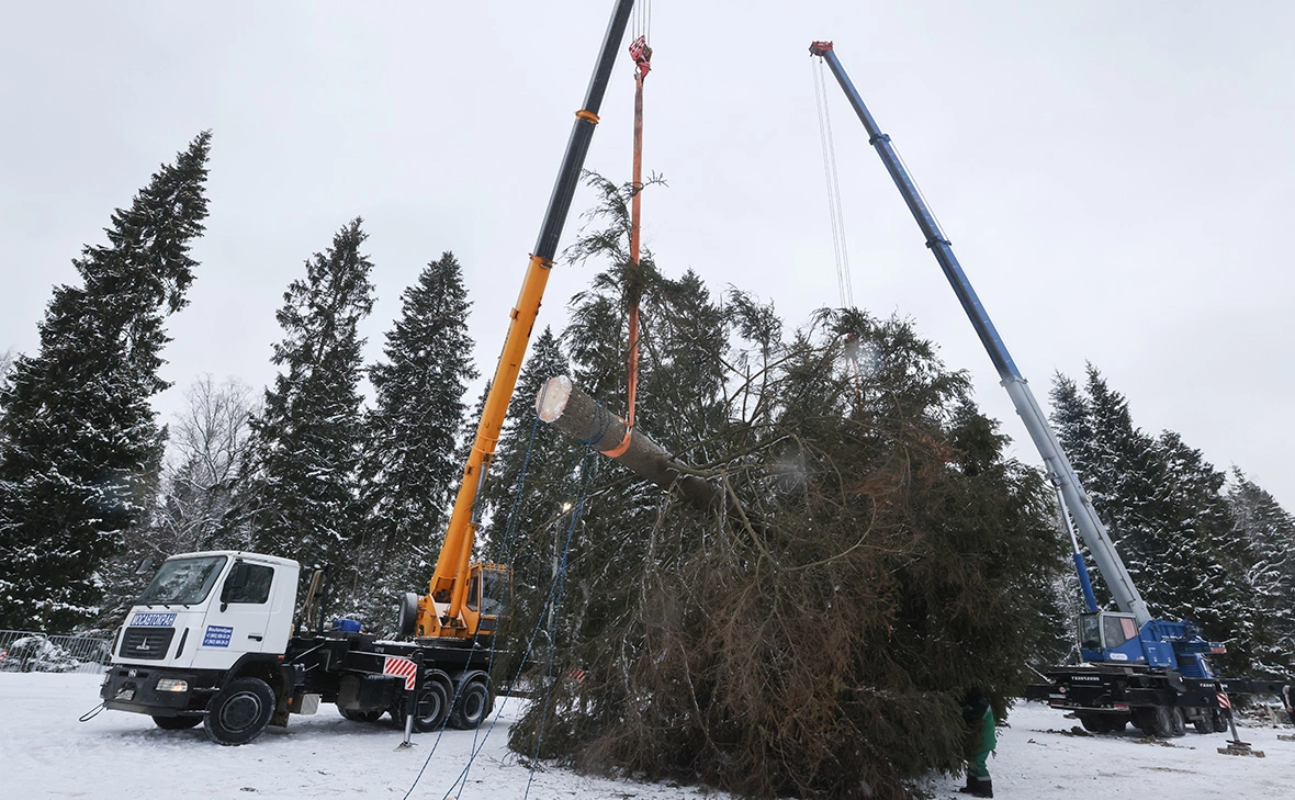 Сергей Карпухин / ТАСС