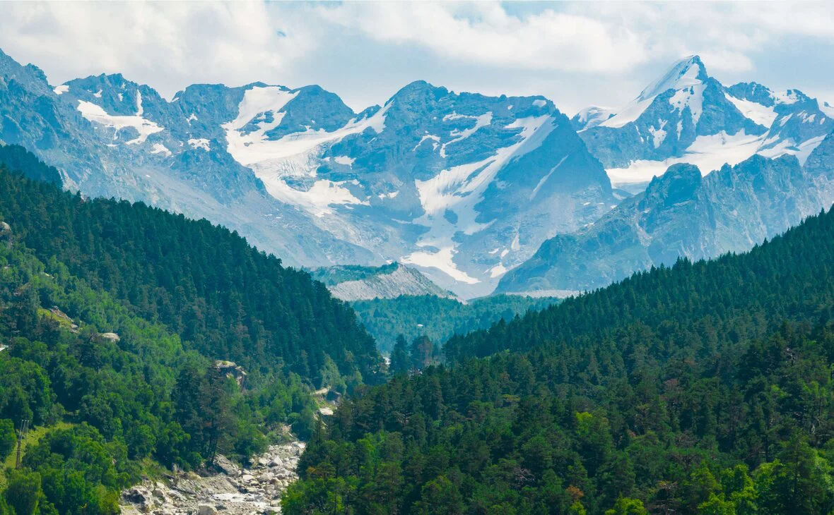 Антон Тайбарей