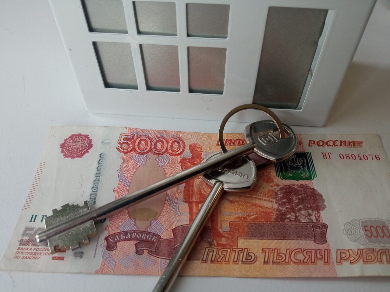 Фото: РБК Новосибирск