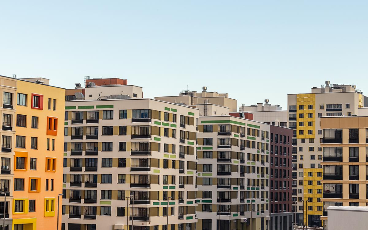 Фото: Kamrad71 / Shutterstock / FOTODOM