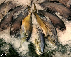 РФ приостановила поставки рыбы и морепродуктов из Японии