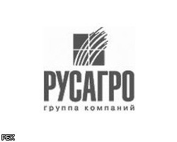 "Русагро" установила цену размещения в рамках IPO - 15 долл./GDR