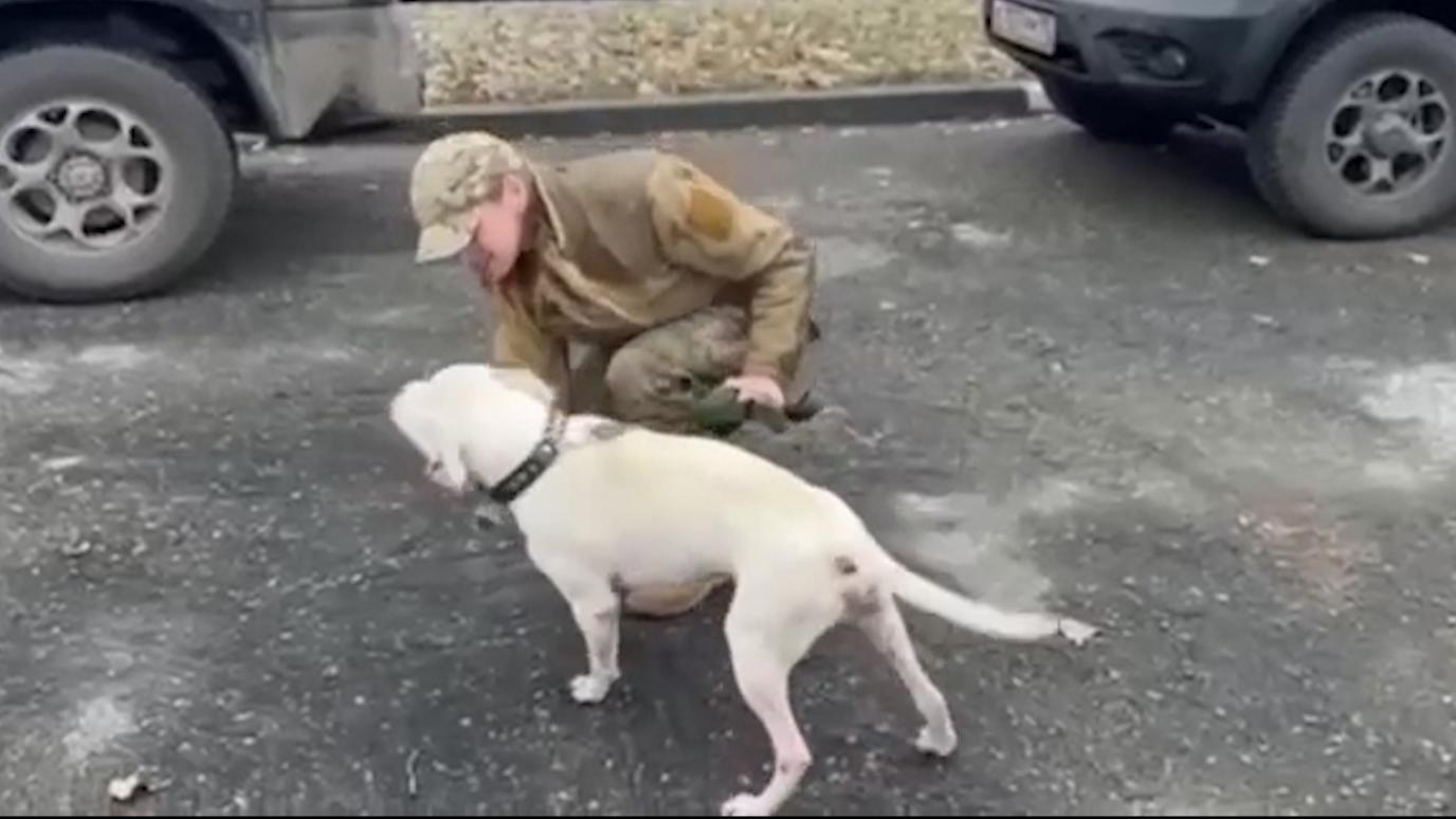 Кадыров рассказал о возвращенной украинке собаке с Азовстали