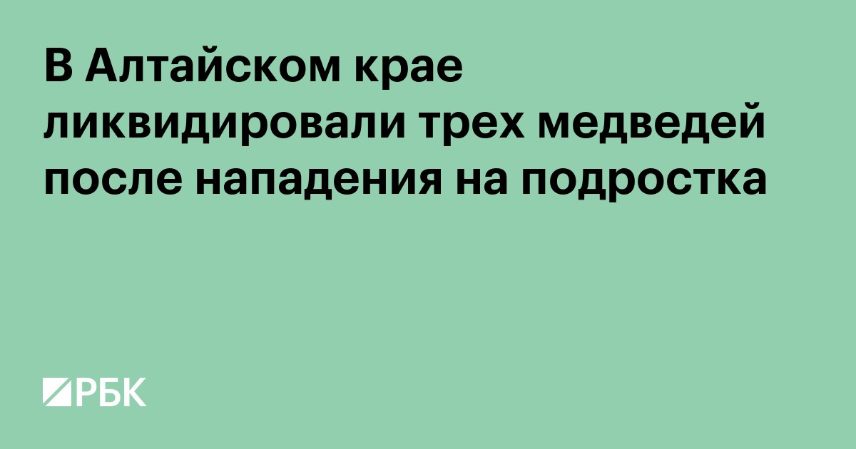 В Алтайском крае ликвидировали трех медведей после нападения на подростка