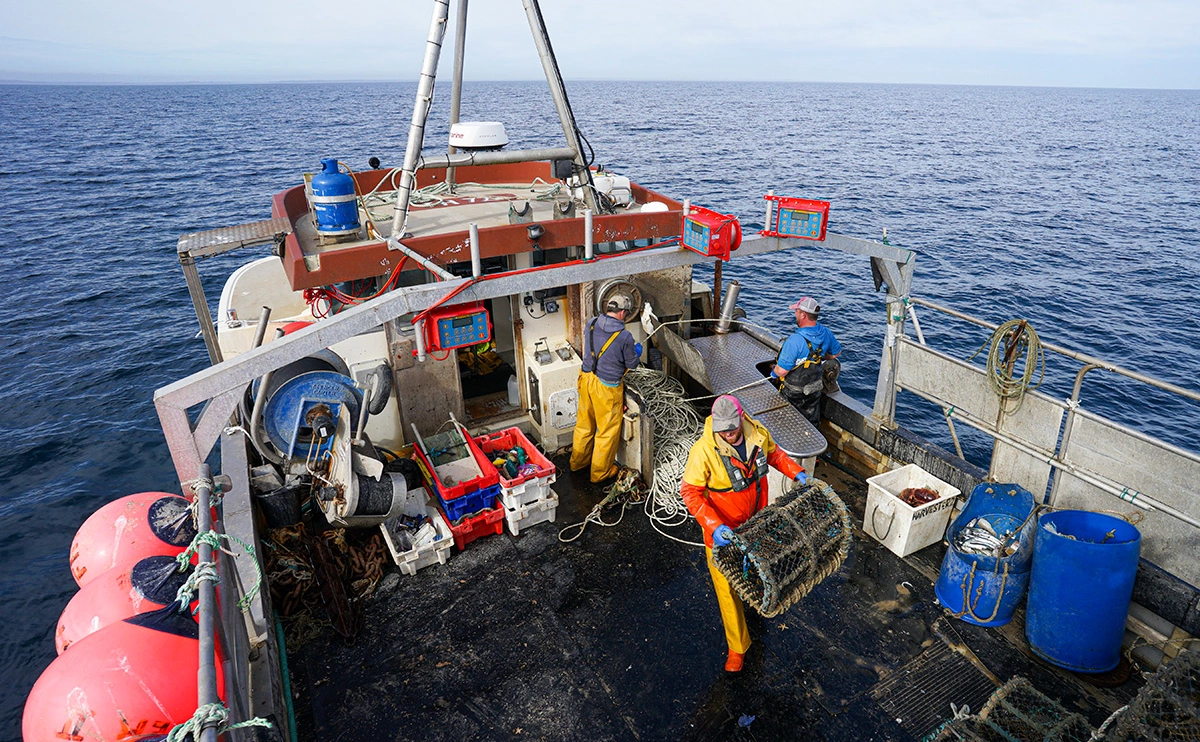 Hugh Hastings / Getty Images