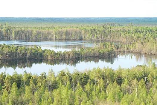 Фото: Нижегородская правда