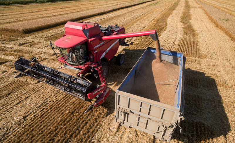 Фото: Виталий Тимкив / ТАСС