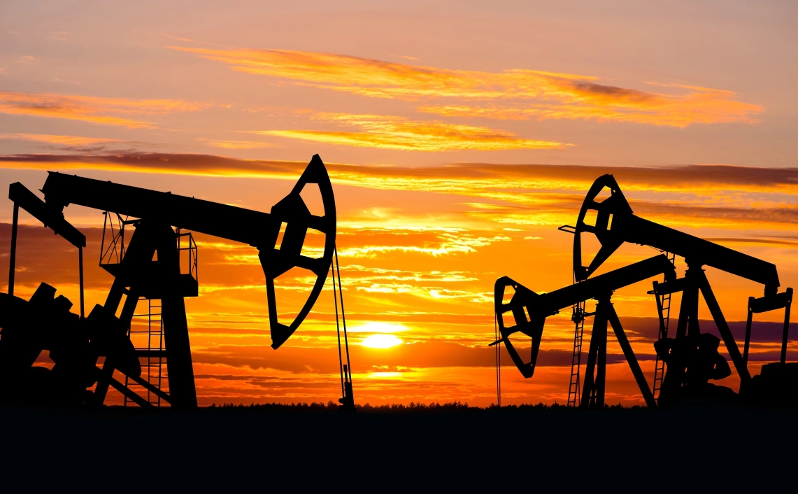 Leonid Ikan / Shutterstock.com