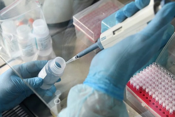 На Кубани с подозрением на коронавирус госпитализированы 555 человек