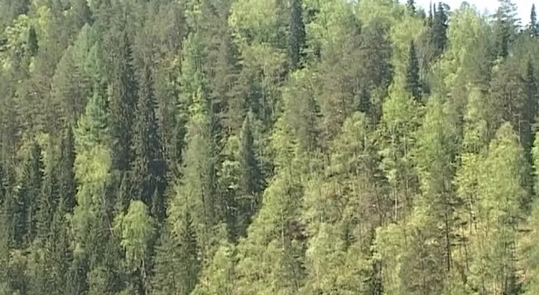 РБК Пермь