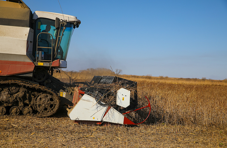 Правительство Приморского края