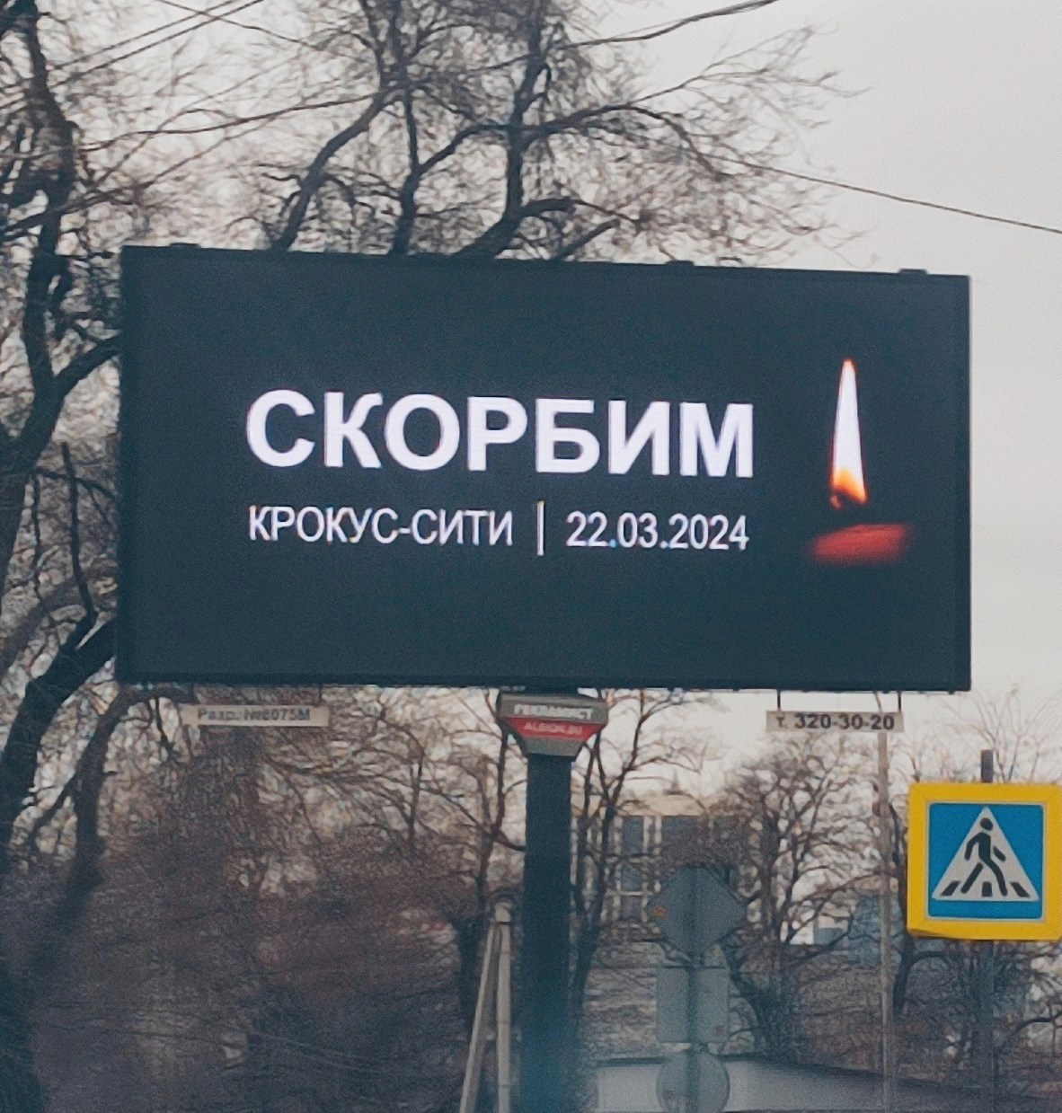 Егор Маркин
