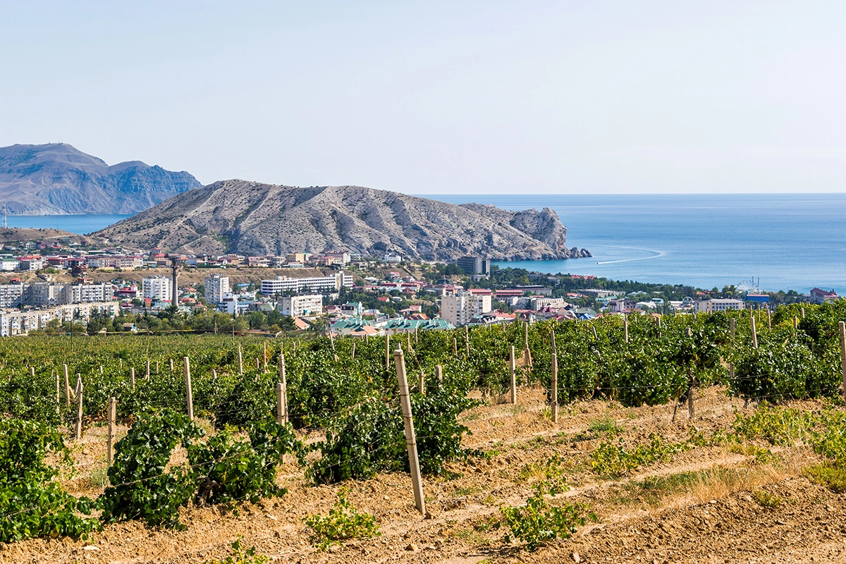 В Крыму назвали даты первых рейсов «Виноградного экспресса» - РБК Вино