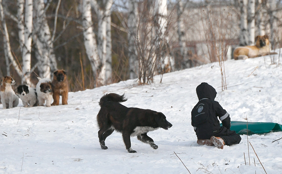 Илья Наймушин / РИА Новости