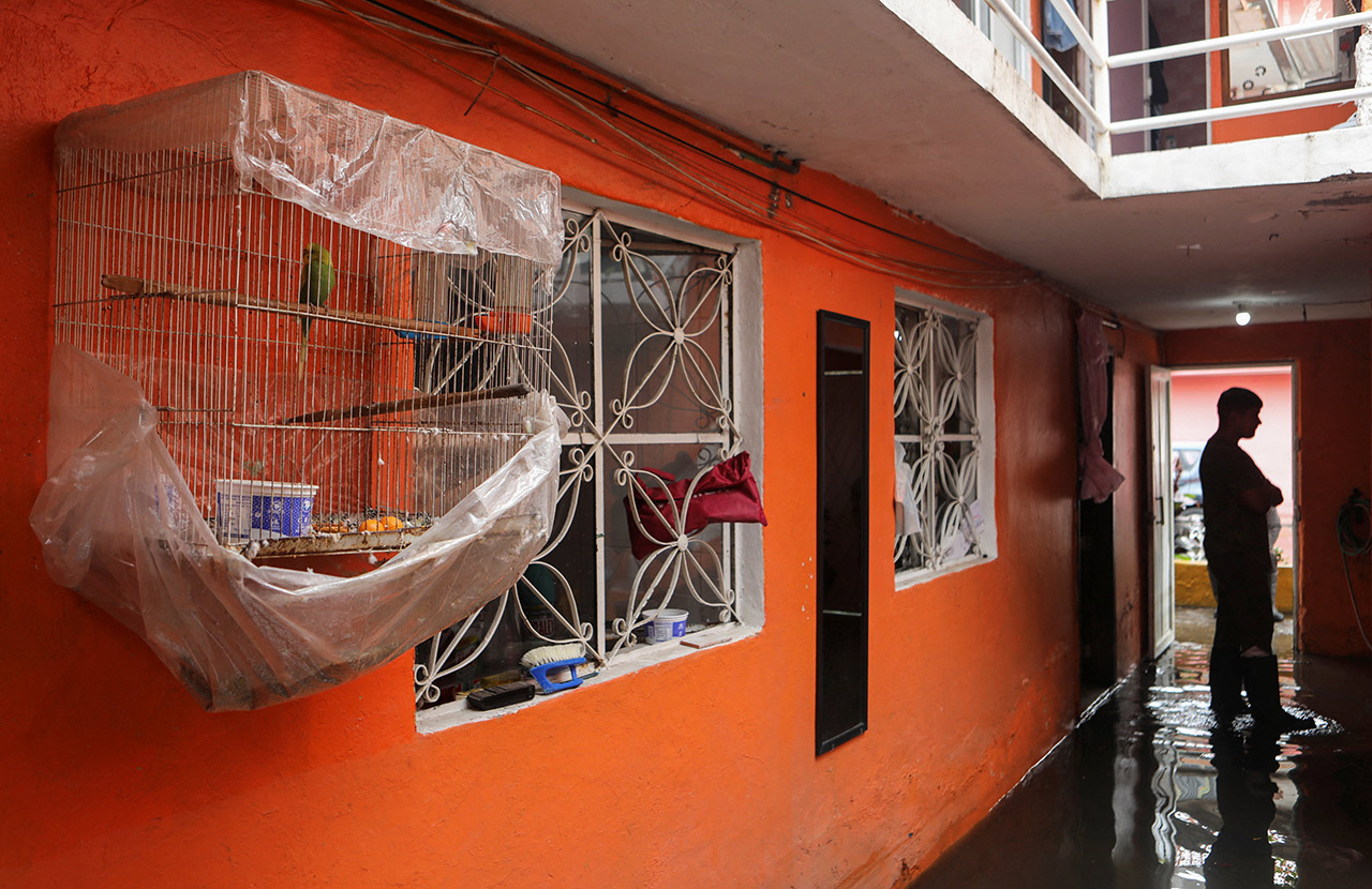 Фото:Paola Garcia / Reuters