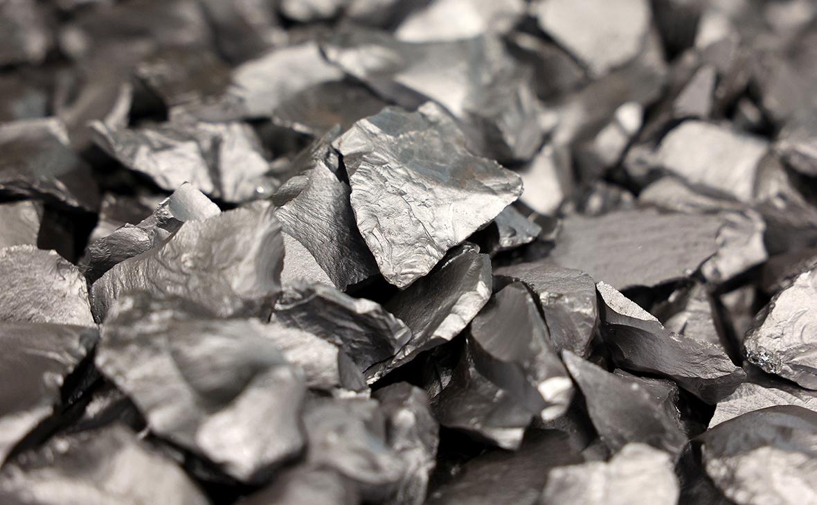 Фото: Виталий Невар / ТАСС