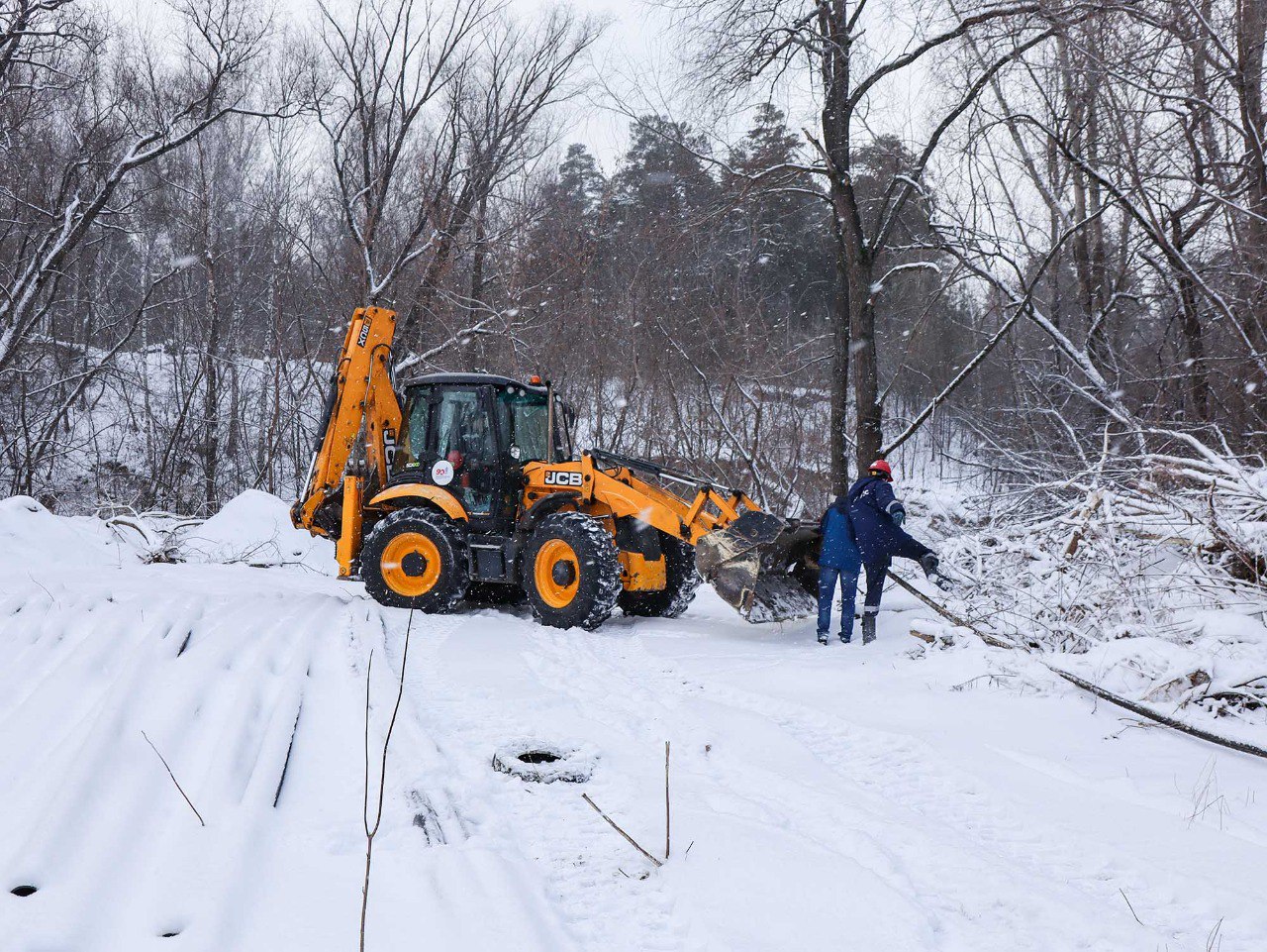 Фото: телеграм-канал / Россети Новосибирск