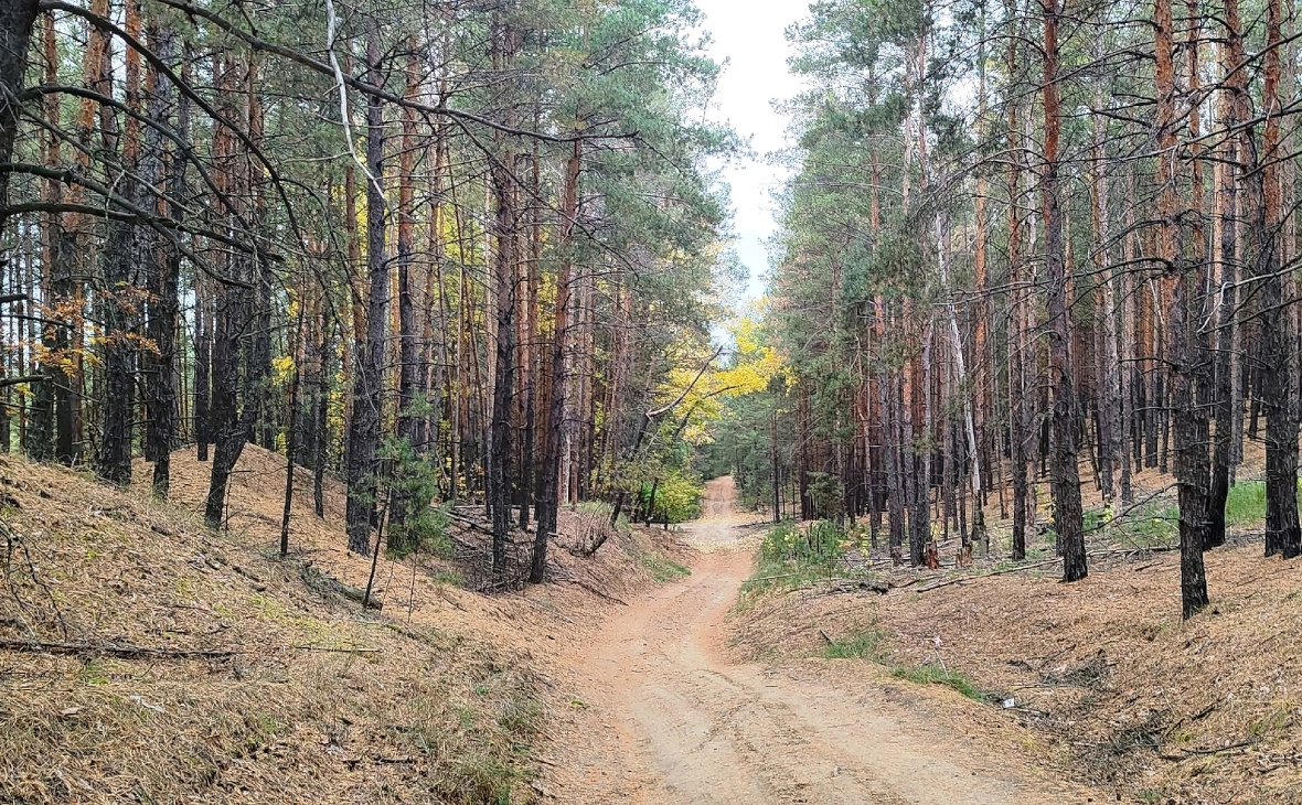 РБК Черноземье