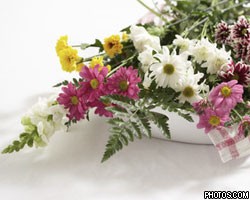 Цветочница объявила бойкот высоким ценам на цветы 14 февраля 