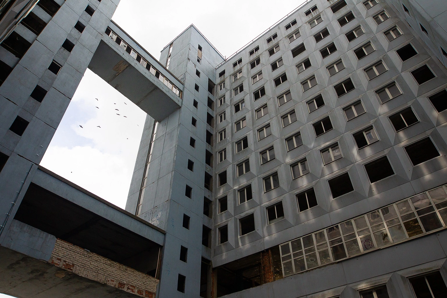 Александр Подгорчук