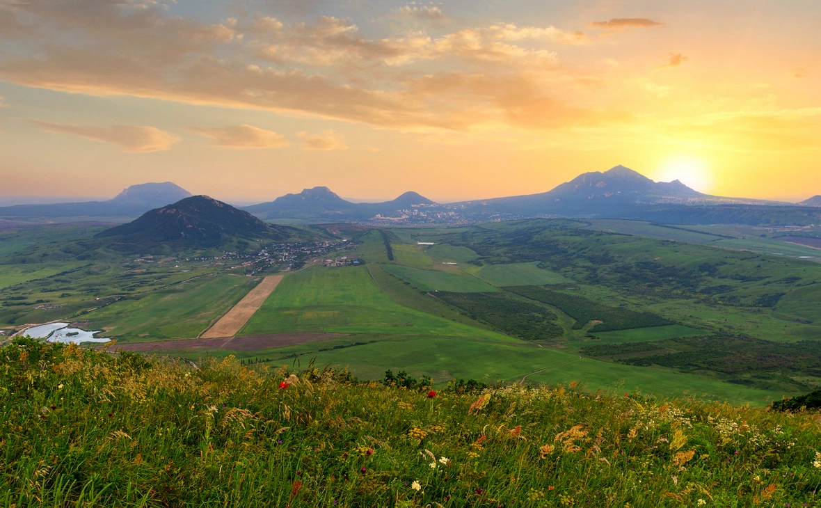 Елена Брежицкая