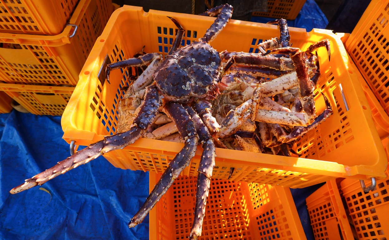 Юрий Смитюк / ТАСС