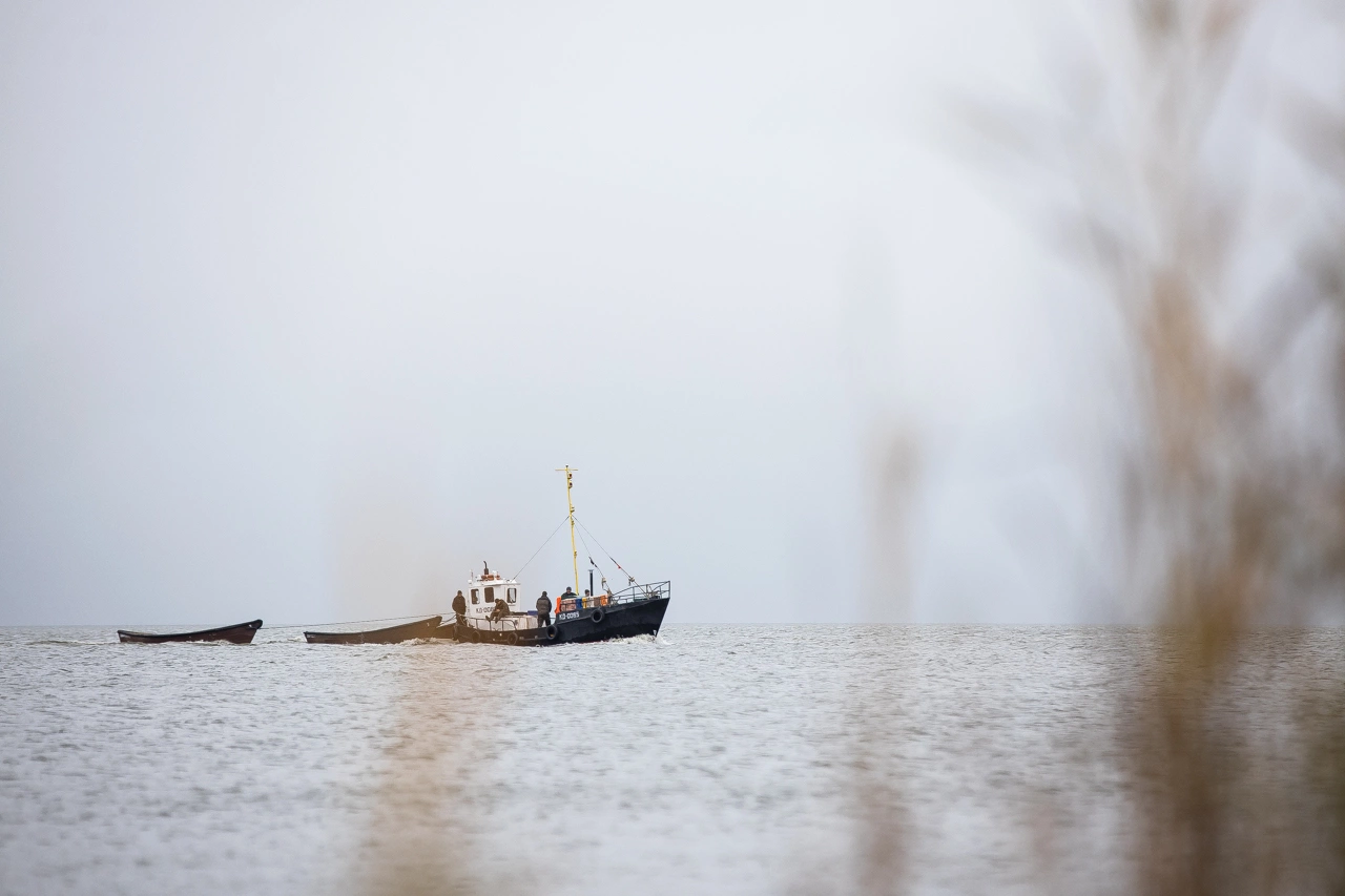 Александр Подгорчук