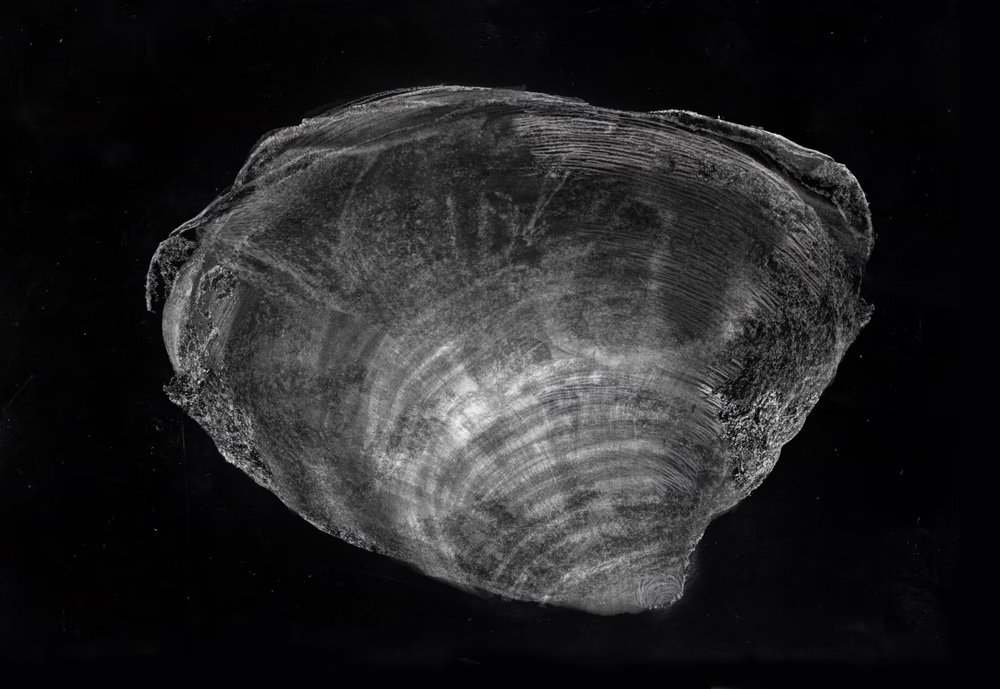 Некоторые работы цикла TTL