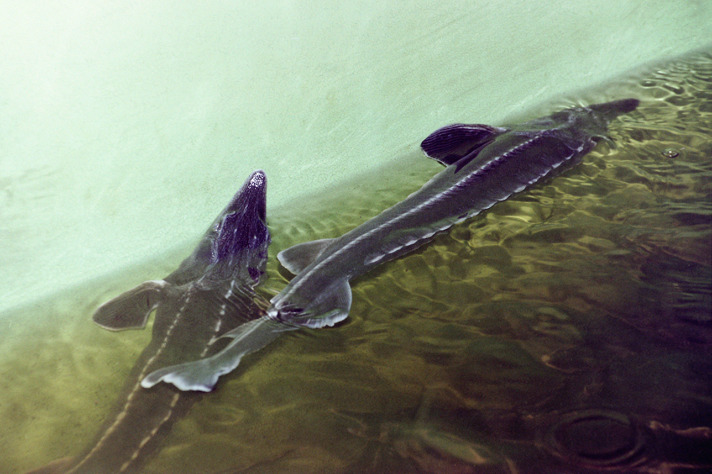 Фото: globallookpress.com, Виктор Лисицын