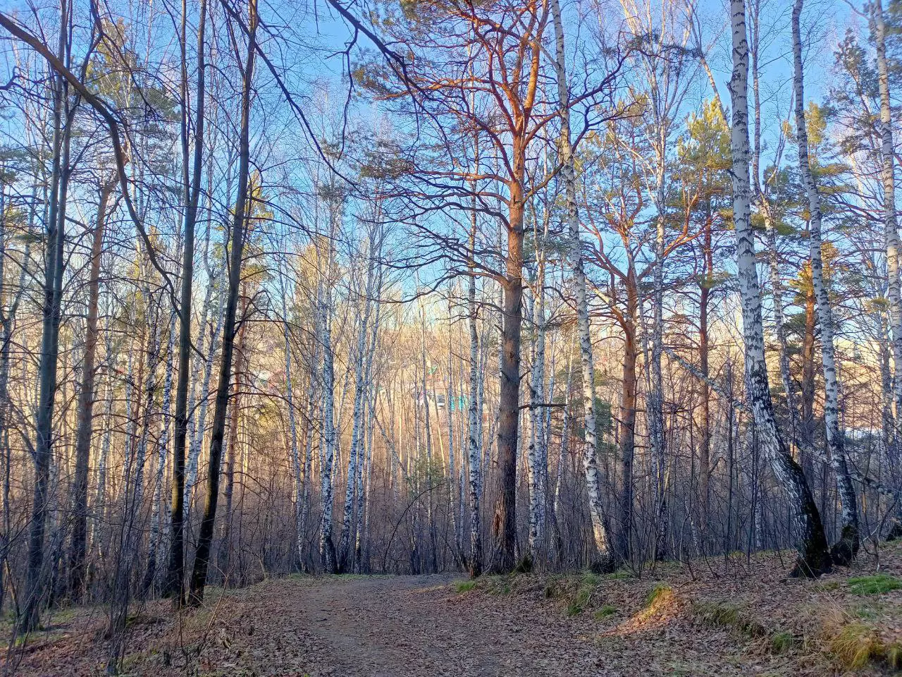 Алексей Коваленок / РБК Новосибирск