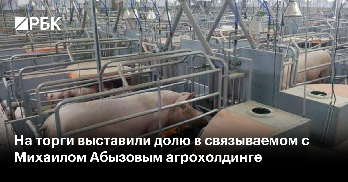 На торги выставили долю в связываемом с Михаилом Абызовым агрохолдинге