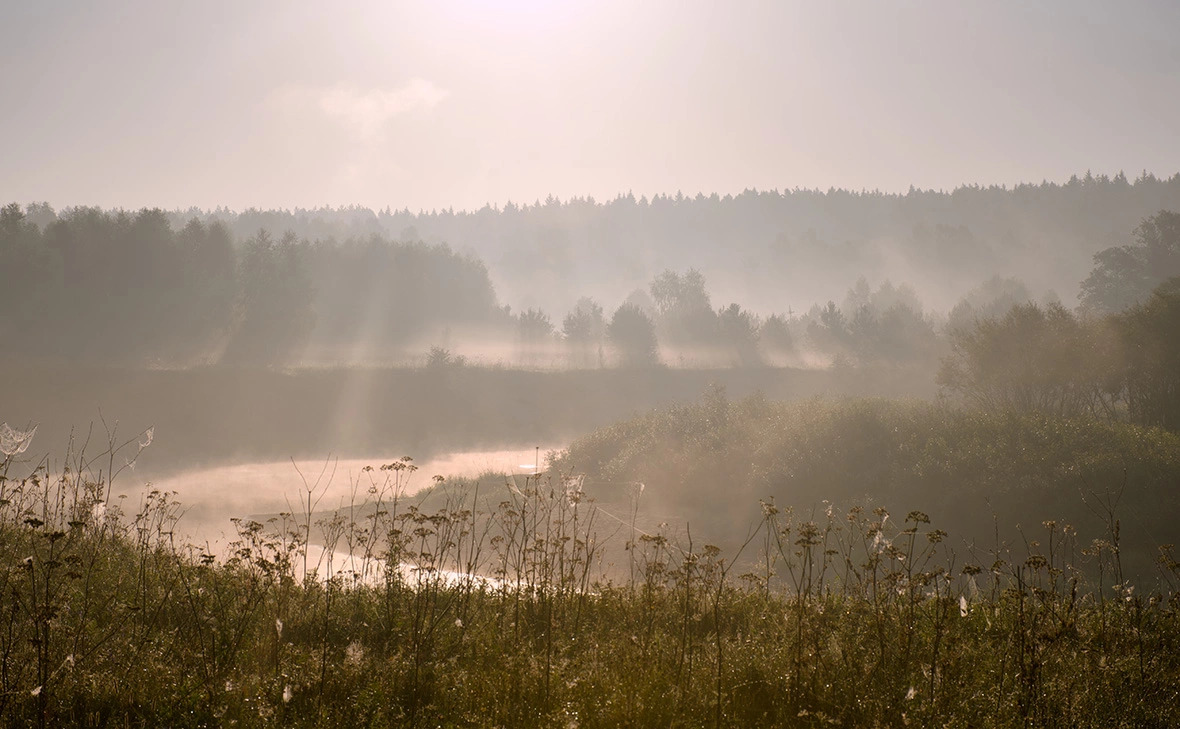 Mikhail Timofeev / Shutterstock