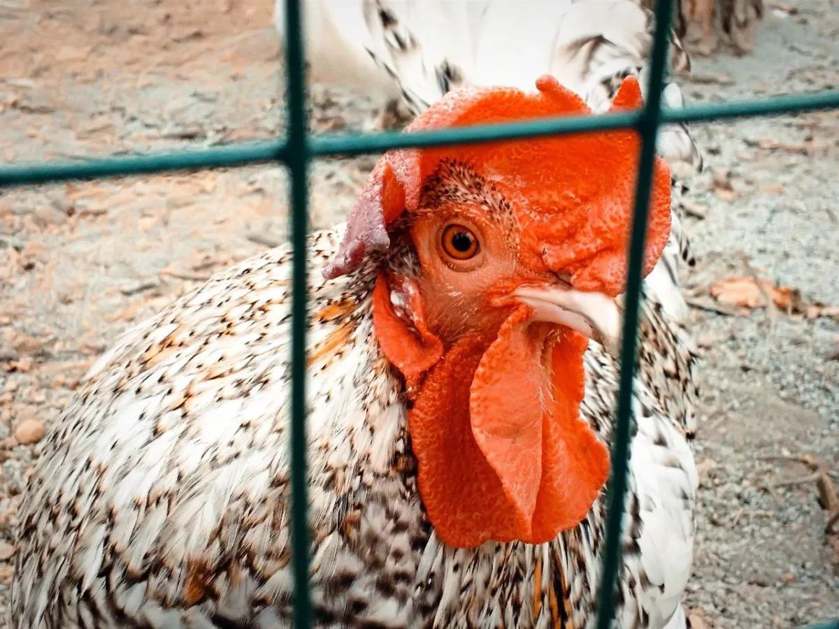 РБК Приморье