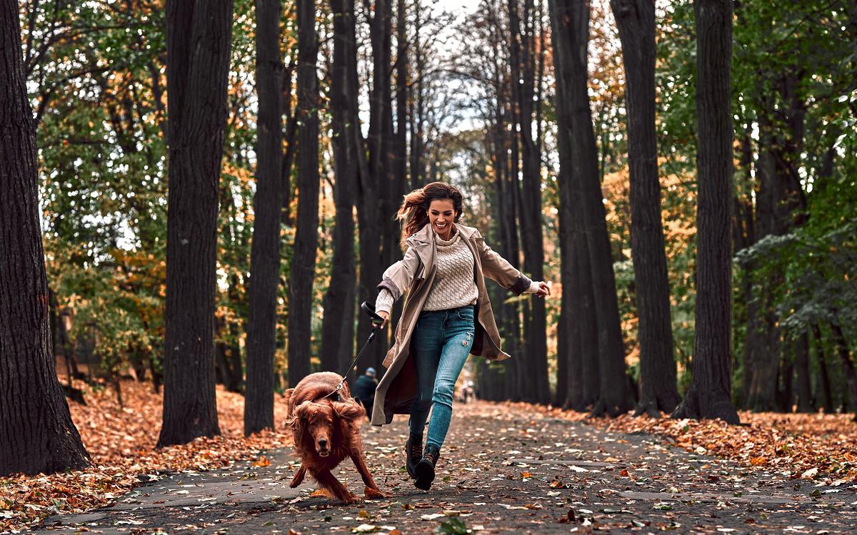 Фото: Shutterstock