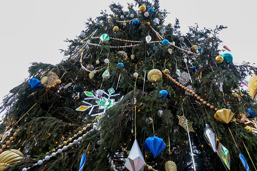 Фото: Ярослав Чингаев / АГН «Москва»