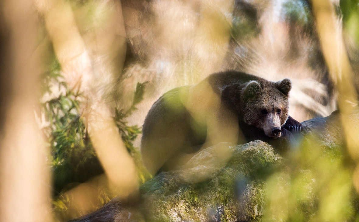 Lino Mirgeler / dpa / Global Look Press