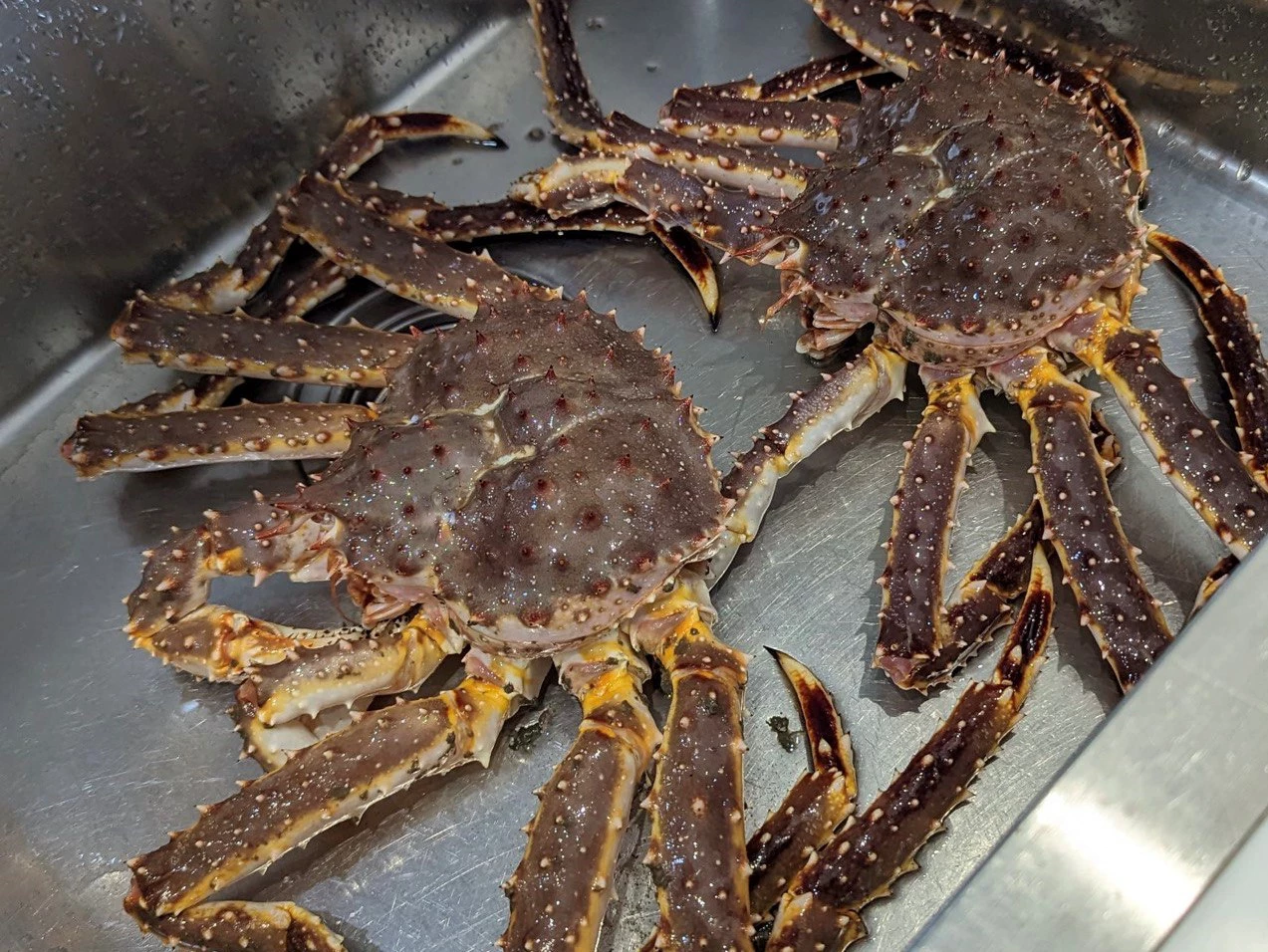 РБК Приморье