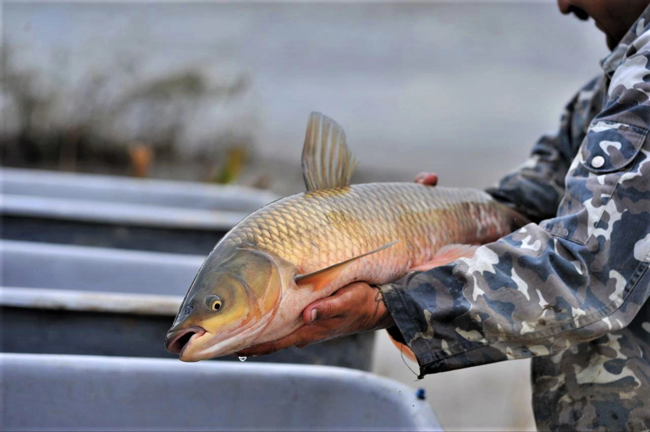 Пресс-служба администрации Краснодарского края 