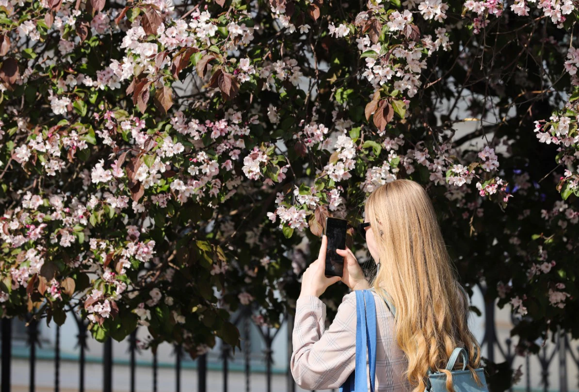 Размик Закарян / РИА URA.RU