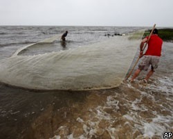 Жители Луизианы скупают морепродукты из-за разлива нефти