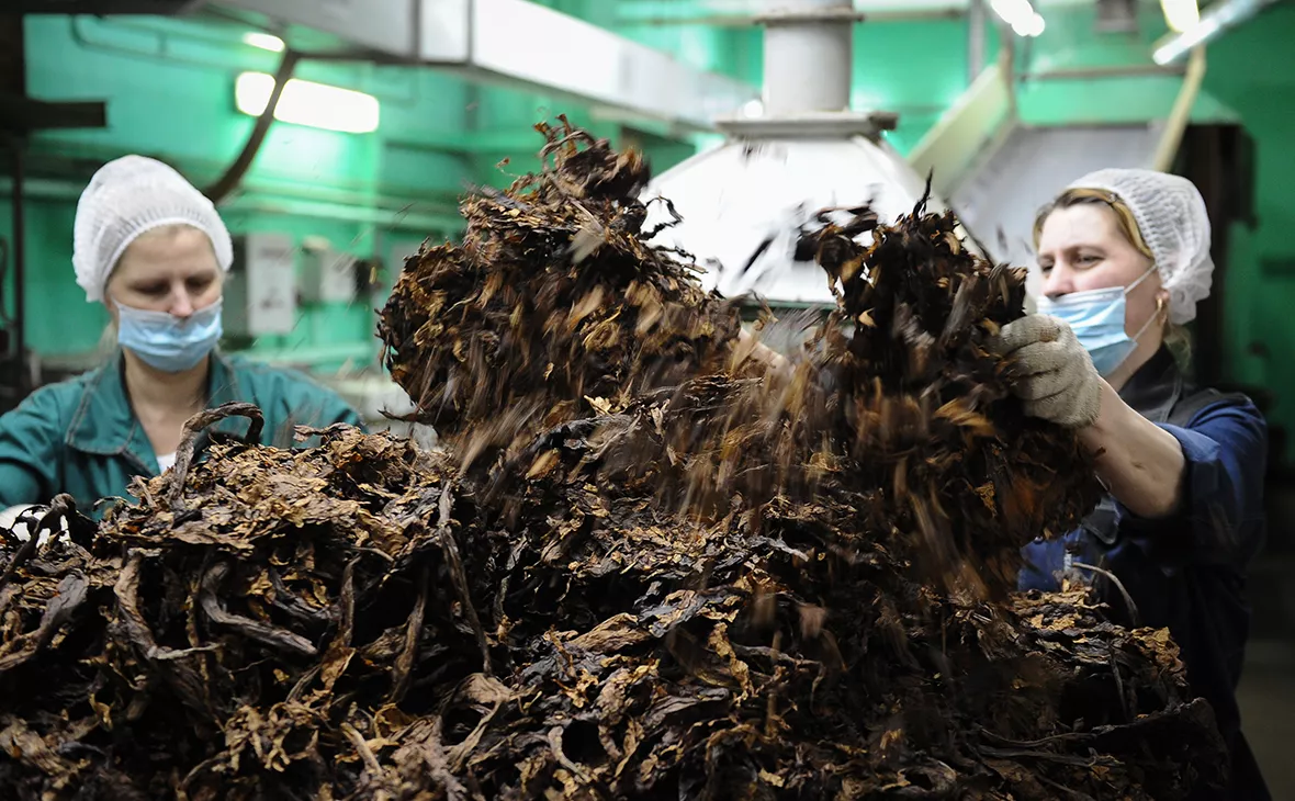 Александр Рюмин / ТАСС