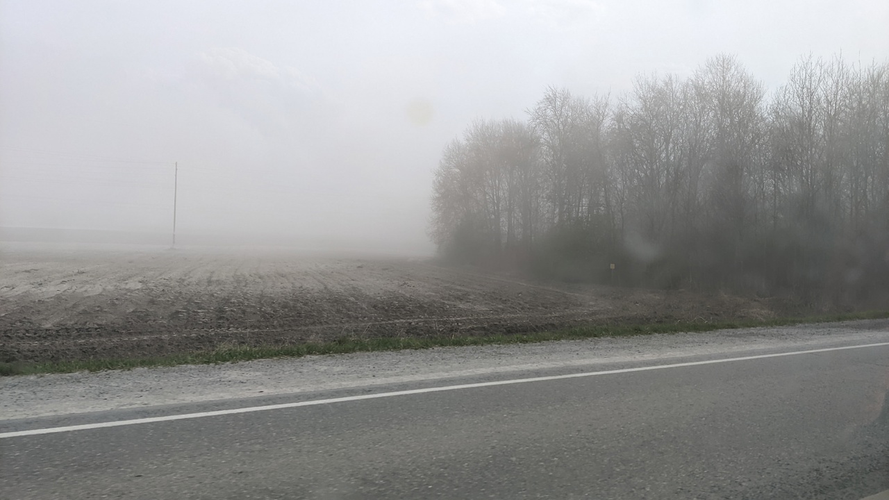 Пыльная (песчаная) буря &mdash; атмосферное явление в виде переноса больших количеств пыли (частиц почвы, песчинок) ветром