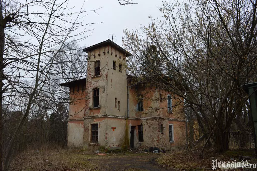 сайт Prussia39