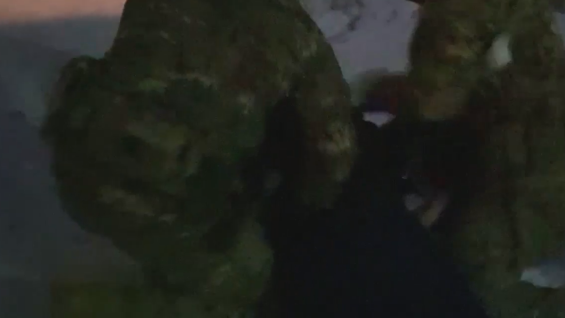 Жителя Алтайского края задержали при попытке теракта на военном объекте