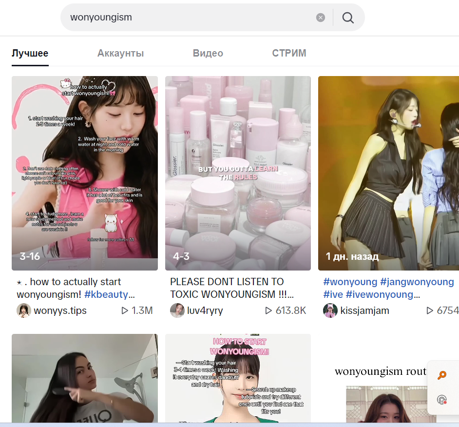 Поисковая выдача в TikTok по запросу wonyoungism
