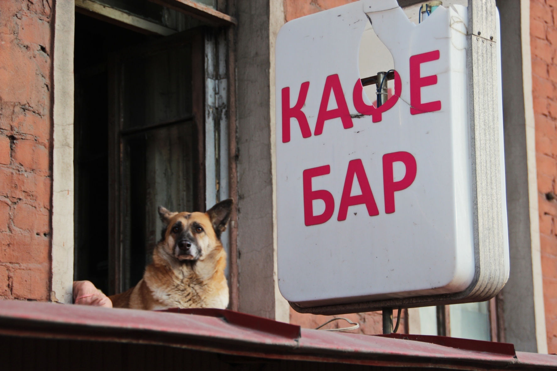 Фото: Чиженок Александр/PhotoXPress.ru