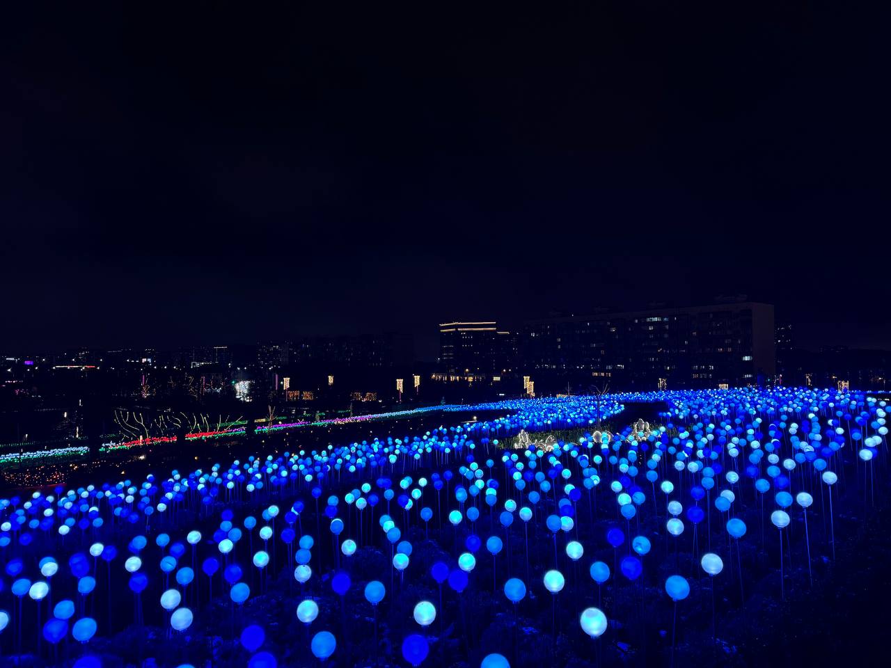 Фото: РБК Краснодар